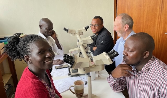 Medical professional analyzing cancer biopsy slides under microscope for histopathology diagnosis